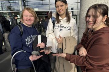 Experimentieren, Erleben, Entdecken: Ein MINT-Tag voller Chancen